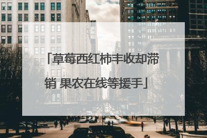 草莓西红柿丰收却滞销 果农在线等援手