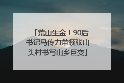 荒山生金！90后书记马传力带领张山头村书写山乡巨变