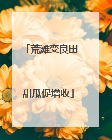 荒滩变良田 甜瓜促增收