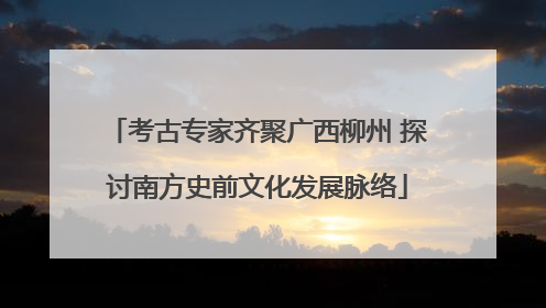 考古专家齐聚广西柳州 探讨南方史前文化发展脉络