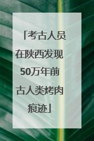 考古人员在陕西发现50万年前古人类烤肉痕迹
