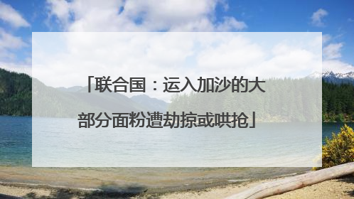 联合国：运入加沙的大部分面粉遭劫掠或哄抢