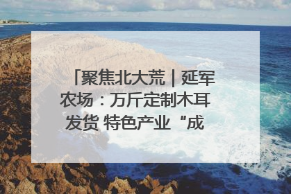 聚焦北大荒｜延军农场：万斤定制木耳发货 特色产业“成绩单”亮眼