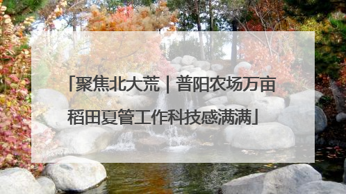聚焦北大荒｜普阳农场万亩稻田夏管工作科技感满满