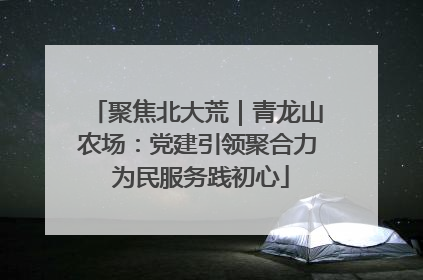聚焦北大荒｜青龙山农场：党建引领聚合力 为民服务践初心