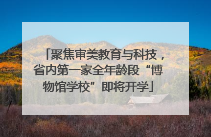 聚焦审美教育与科技，省内第一家全年龄段“博物馆学校”即将开学