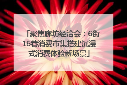 聚焦廊坊经洽会：6街16巷消费市集搭建沉浸式消费体验新场景