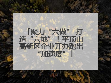 聚力“六做” 打造“六地”！平顶山高新区企业开办跑出“加速度”