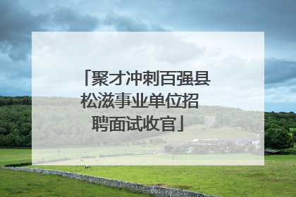 聚才冲刺百强县 松滋事业单位招聘面试收官