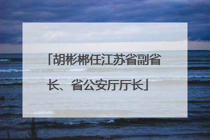 胡彬郴任江苏省副省长、省公安厅厅长