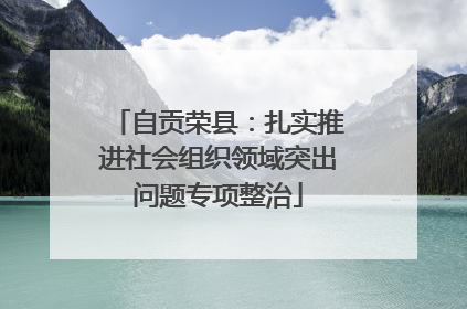 自贡荣县：扎实推进社会组织领域突出问题专项整治