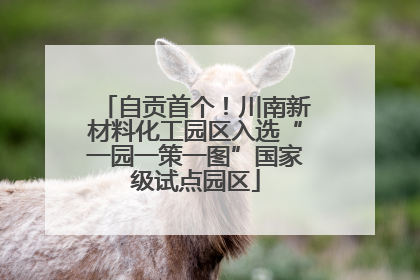 自贡首个！川南新材料化工园区入选“一园一策一图”国家级试点园区