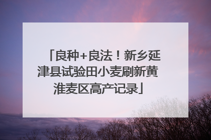 良种+良法！新乡延津县试验田小麦刷新黄淮麦区高产记录