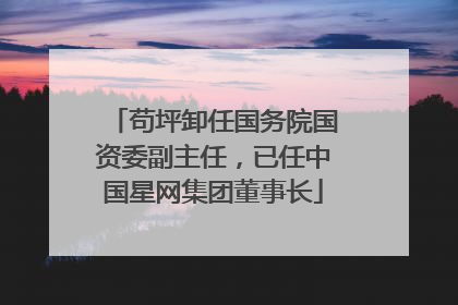 苟坪卸任国务院国资委副主任，已任中国星网集团董事长
