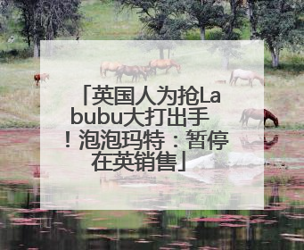 英国人为抢Labubu大打出手！泡泡玛特：暂停在英销售