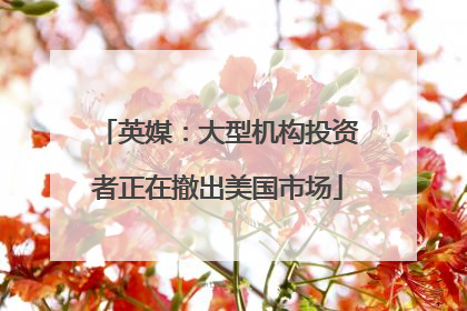 英媒：大型机构投资者正在撤出美国市场