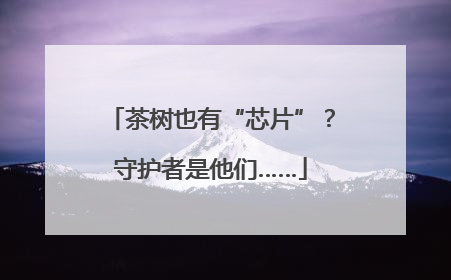 茶树也有“芯片”？守护者是他们……