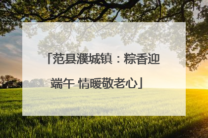 范县濮城镇：粽香迎端午 情暖敬老心