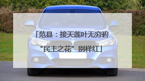 范县：接天莲叶无穷碧 “民主之花”别样红