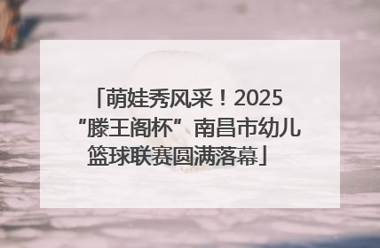 萌娃秀风采！2025“滕王阁杯”南昌市幼儿篮球联赛圆满落幕