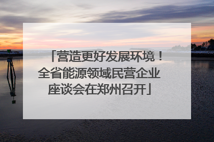 营造更好发展环境！全省能源领域民营企业座谈会在郑州召开