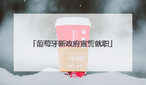 葡萄牙新政府宣誓就职