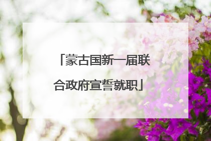 蒙古国新一届联合政府宣誓就职
