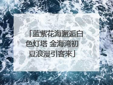 蓝紫花海邂逅白色灯塔 金海湾初夏浪漫引客来