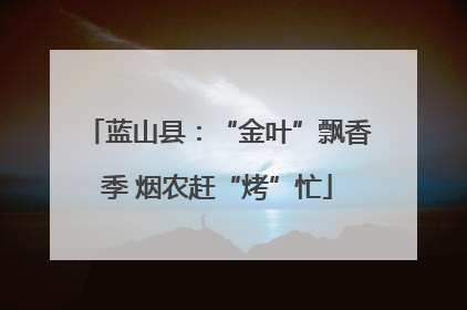蓝山县：“金叶”飘香季 烟农赶“烤”忙