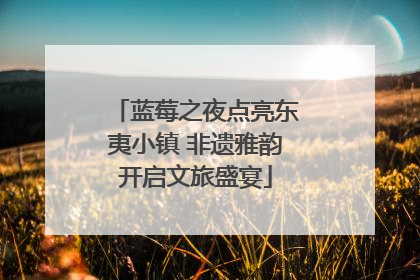 蓝莓之夜点亮东夷小镇 非遗雅韵开启文旅盛宴