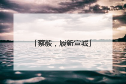 蔡毅，履新宣城