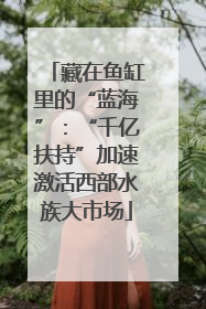 藏在鱼缸里的“蓝海”：“千亿扶持”加速激活西部水族大市场
