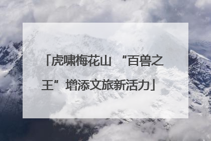 虎啸梅花山 “百兽之王”增添文旅新活力