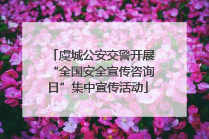 虞城公安交警开展“全国安全宣传咨询日”集中宣传活动