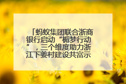 蚂蚁集团联合浙商银行启动“栀梦行动”，三个维度助力浙江下姜村建设共富示范区示范点