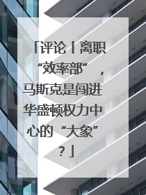 评论丨离职“效率部”，马斯克是闯进华盛顿权力中心的“大象”？