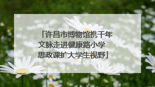 许昌市博物馆携千年文脉走进健康路小学 思政课扩大学生视野