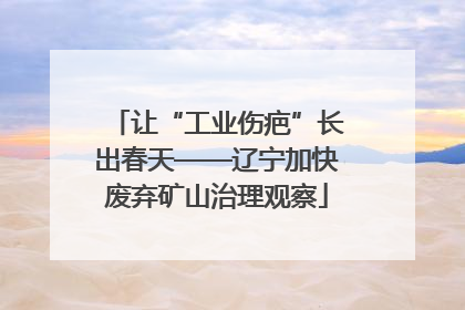让“工业伤疤”长出春天——辽宁加快废弃矿山治理观察