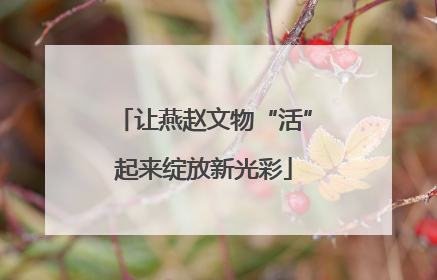 让燕赵文物“活”起来绽放新光彩