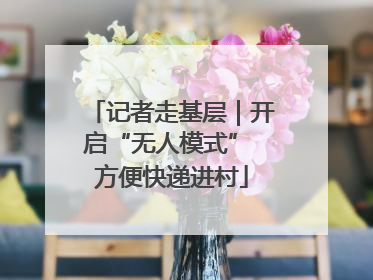 记者走基层｜开启“无人模式” 方便快递进村