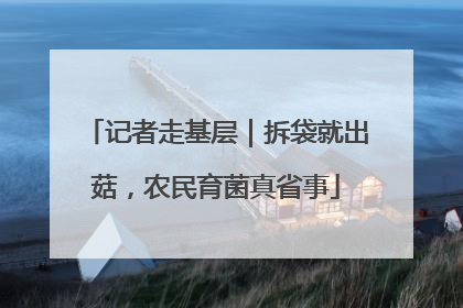 记者走基层｜拆袋就出菇，农民育菌真省事