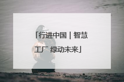 行进中国｜智慧工厂 绿动未来