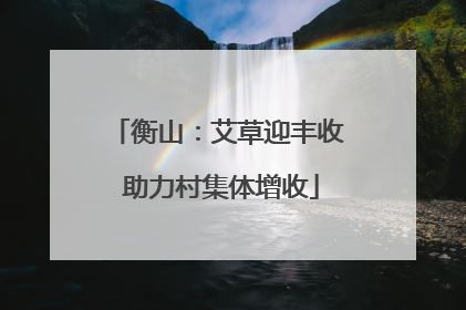 衡山：艾草迎丰收 助力村集体增收