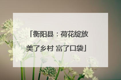 衡阳县：荷花绽放 美了乡村 富了口袋