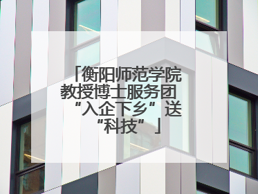 衡阳师范学院教授博士服务团“入企下乡”送“科技”