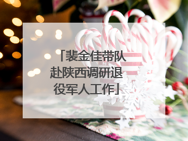 裴金佳带队赴陕西调研退役军人工作