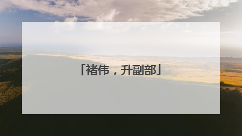 褚伟，升副部