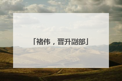 褚伟，晋升副部