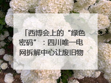 西博会上的“绿色密码”：四川唯一电网拆解中心让废旧物资“重生”｜西博寻“新”记