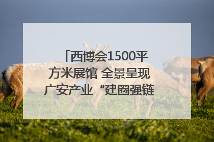 西博会1500平方米展馆 全景呈现广安产业“建圈强链”｜西博视界